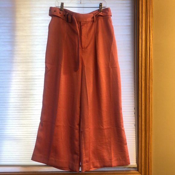 NWT Anthropologie Moon River cropped wide leg pants pink medium - Picture 2 of 5
